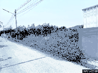 ที่ดินว่างเปล่าหลุดจำนอง ธ.ธนาคารกสิกรไทย ชัยภูมิ เมืองชัยภูมิ ในเมือง