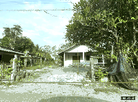 บ้านเดี่ยวหลุดจำนอง ธ.ธนาคารกสิกรไทย ชัยภูมิ เทพสถิต วะตะแบก